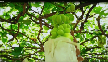 Món quà khởi nghiệp ý nghĩa