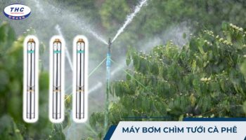 Máy bơm chìm tưới cà phê: Công dụng, thông số và lắp đặt sử dụng