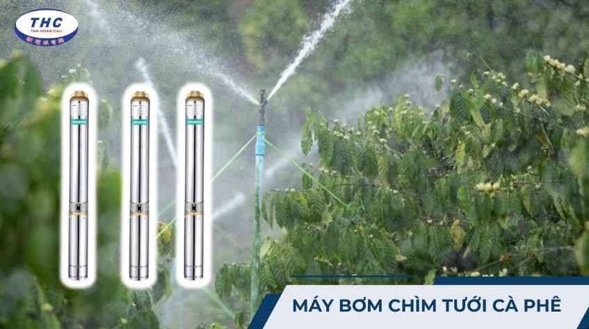 Máy bơm chìm tưới cà phê: Công dụng, thông số và lắp đặt sử dụng