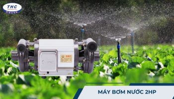Máy bơm nước 2HP (2 ngựa): Công dụng, thông số và cách sử dụng