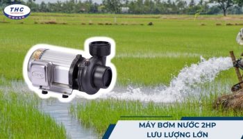 Máy bơm nước 2HP lưu lượng lớn (2 ngựa): Cách chọn và sử dụng