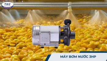 Máy bơm nước 3HP (3 ngựa): Công dụng, thông số và cách sử dụng