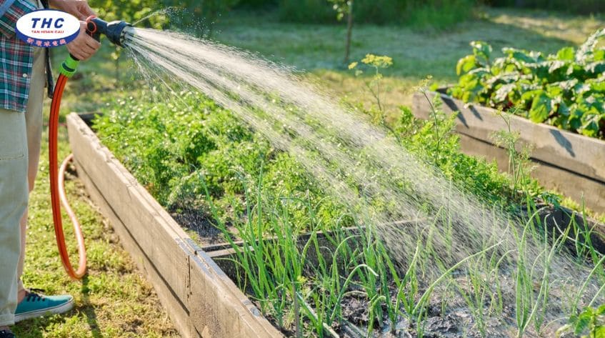 Nên mua máy bơm nước tưới vườn lúc nào?