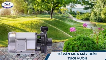 8 vấn đề tư vấn mua máy bơm tưới vườn cho người mới cần lưu ý