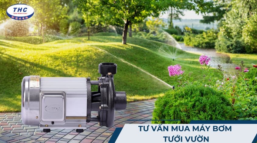 8 vấn đề tư vấn mua máy bơm tưới vườn cho người mới cần lưu ý