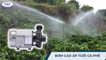 Máy bơm cao áp tưới cà phê: Công dụng, thông số và lắp đặt sử dụng
