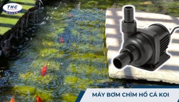 Máy bơm chìm hồ cá koi: Công dụng, thông số và lắp đặt sử dụng