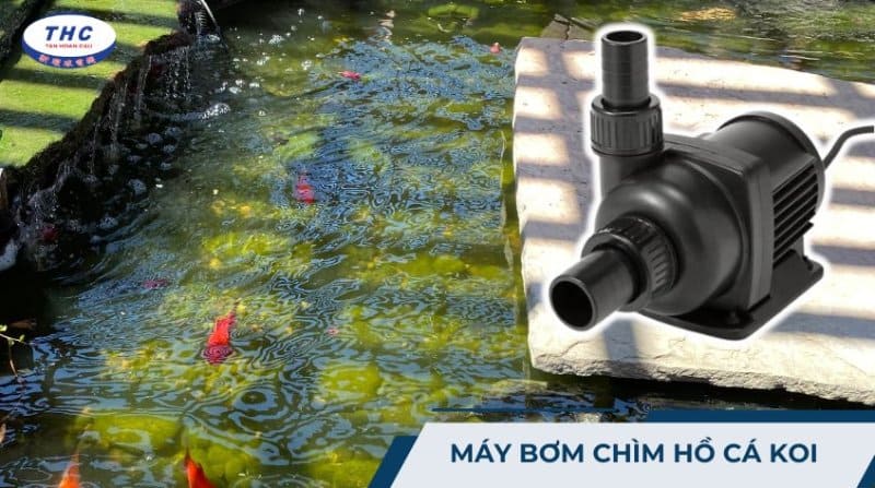 Máy bơm chìm hồ cá koi: Công dụng, thông số và lắp đặt sử dụng