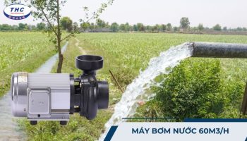 Máy bơm nước 60m3/h
