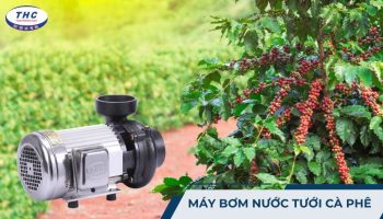 Máy bơm nước tưới cà phê
