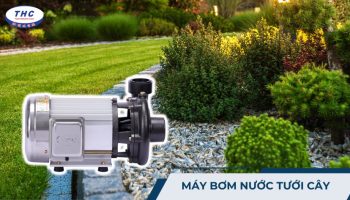 Máy bơm nước tưới cây (motor): Bảng giá, lắp đặt và sử dụng