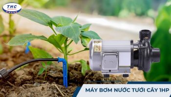 Máy bơm nước tưới cây 1HP