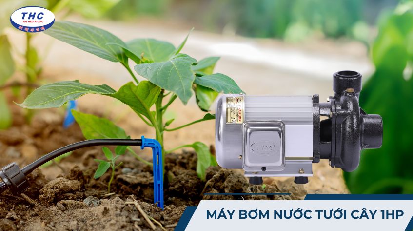 Máy bơm nước tưới cây 1HP