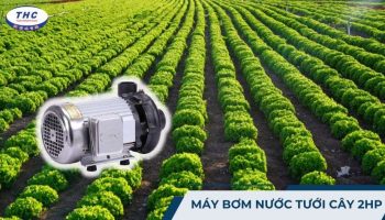 Máy bơm nước tưới cây 2HP