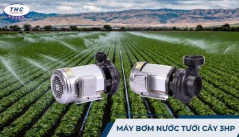 Máy bơm nước tưới cây 3HP