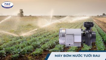 Máy bơm nước tưới rau