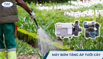 Máy bơm tăng áp tưới cây: Công dụng, thông số và cách sử dụng