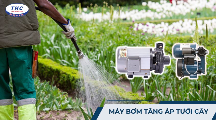 Máy bơm tăng áp tưới cây: Công dụng, thông số và cách sử dụng