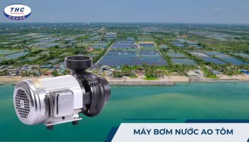 Máy bơm nước ao tôm loại nào tốt? Công dụng, cách chọn và lưu ý