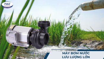 Máy bơm nước lưu lượng lớn