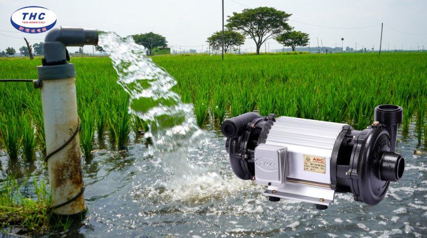 Lưu ý khi lắp đặt và sử dụng