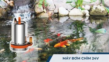 Máy bơm chìm 24V