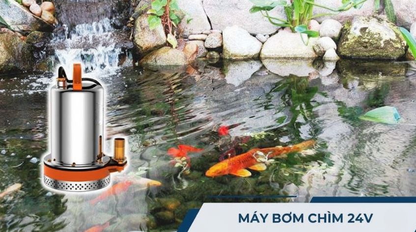 Máy bơm chìm 24V