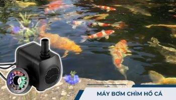 Máy bơm chìm hồ cá