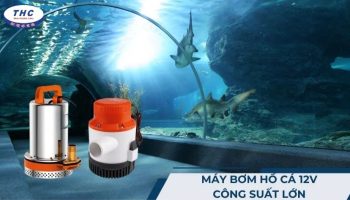 Máy bơm hồ cá 12V công suất lớn