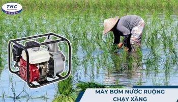 Máy bơm nước ruộng chạy xăng