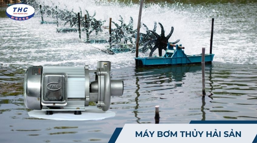 Máy bơm thủy hải sản