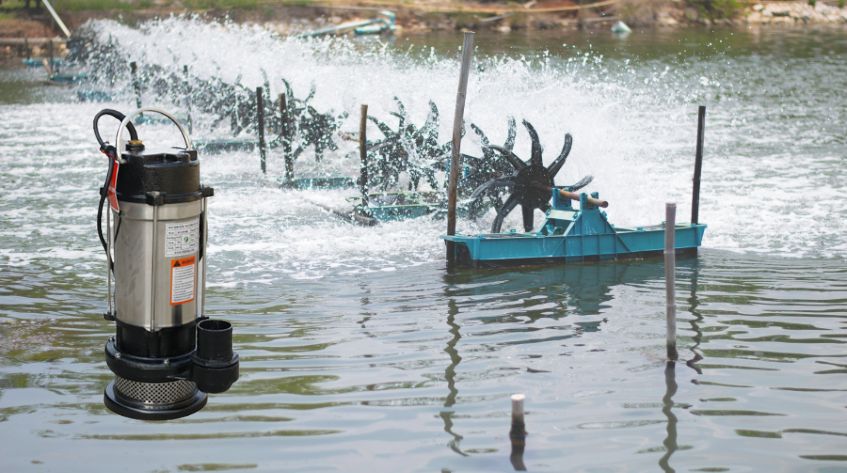 Ưu điểm và ứng dụng