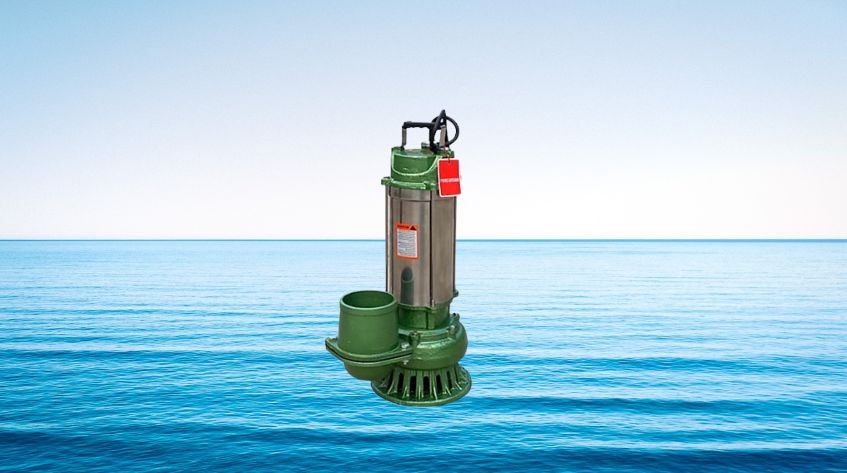 Cách bảo trì và vệ sinh bơm nước thủy sản