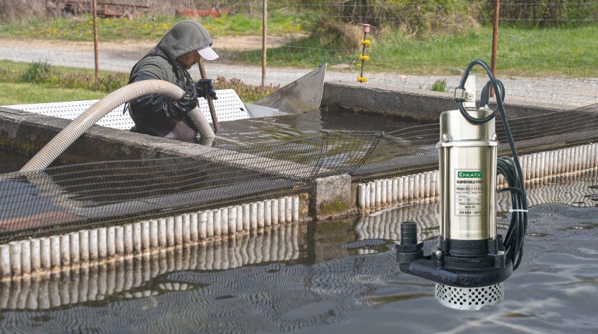 máy bơm nước hồ hải sản