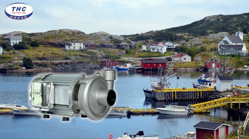 Bơm Inox 304 1.5HP S-1100