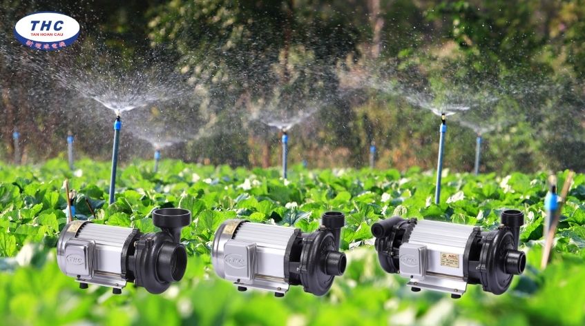 Các loại máy bơm tốt nhất cho hệ thống tưới bằng béc