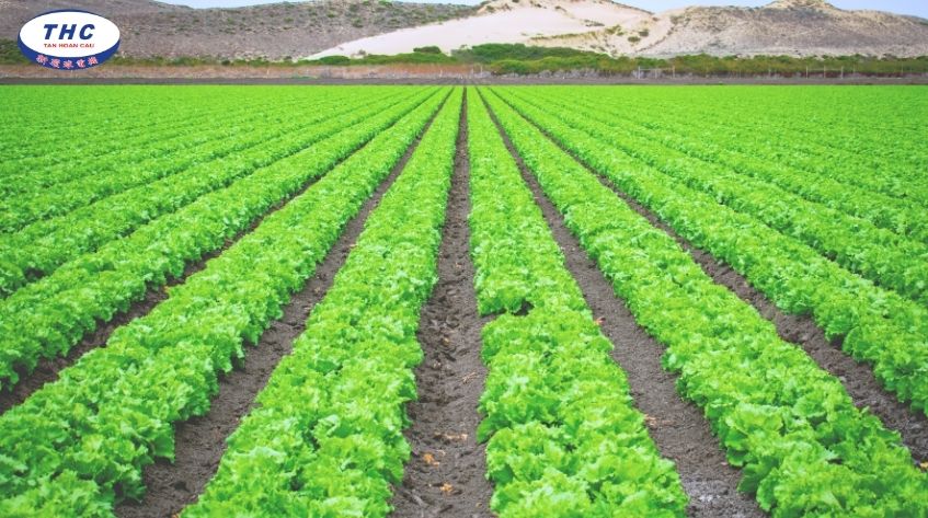 Hướng dẫn tính toán thông số kỹ thuật cho máy bơm