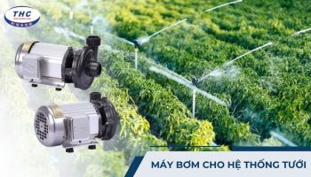 máy bơm cho hệ thống tưới