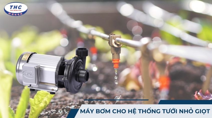 máy bơm cho hệ thống tưới nhỏ giọt