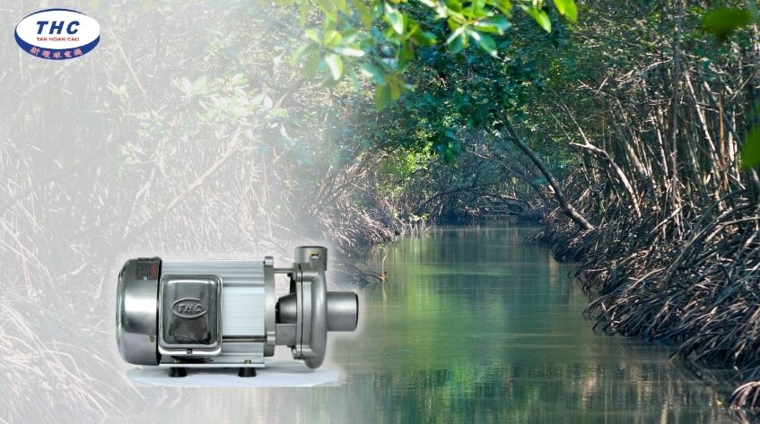 Máy bơm Inox 304 S-1500 vận hành ở khu vực xâm nhập mặn