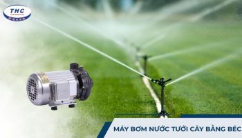 máy bơm nước tưới cây bằng béc