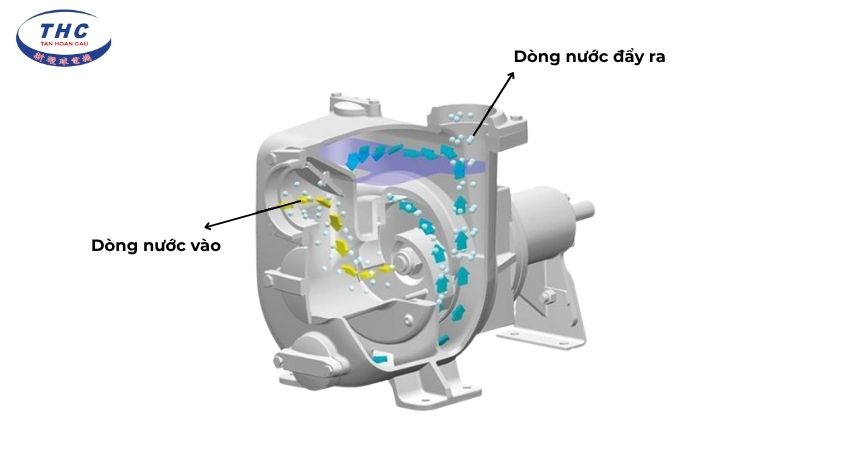 Nguyên lý hoạt động và vận hành của máy bơm Inox 304