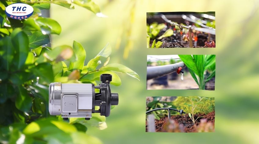 Tại sao cần chọn đúng máy bơm cho hệ thống tưới nhỏ giọt?