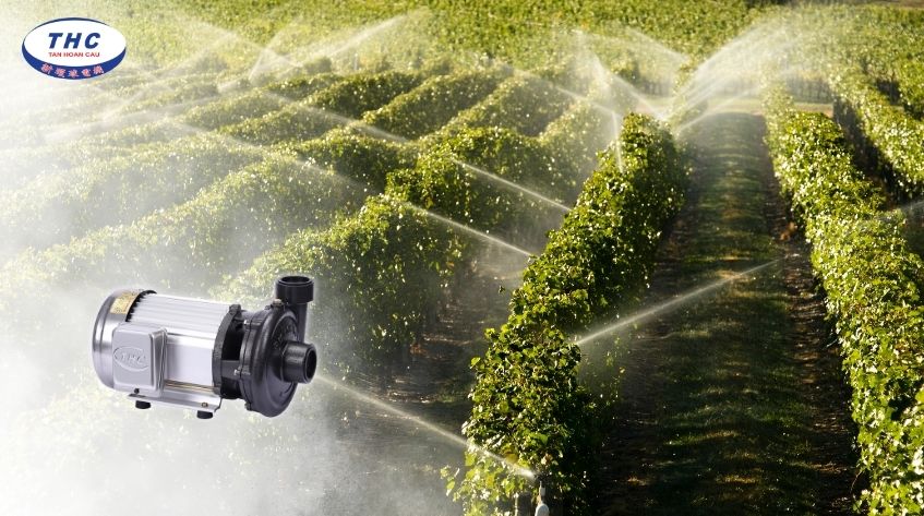 Tại sao cần chọn máy bơm nước tưới cây bằng béc phù hợp?