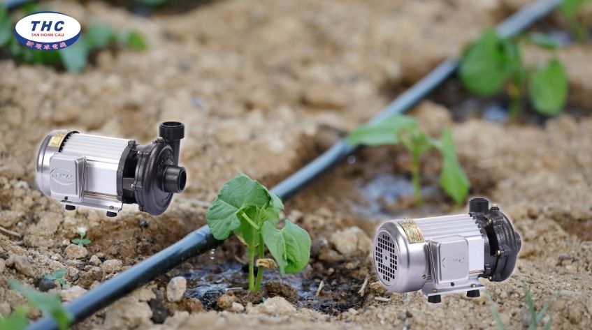 Vai trò của máy bơm cho hệ thống tưới
