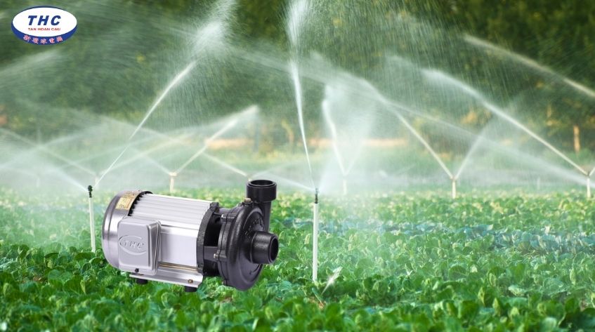 Vai trò của máy bơm cho hệ thống tưới phun mưa