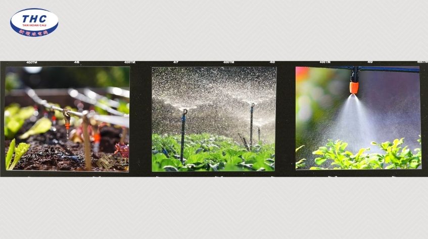 Ví dụ minh họa cụ thể cho từng loại hệ thống tưới